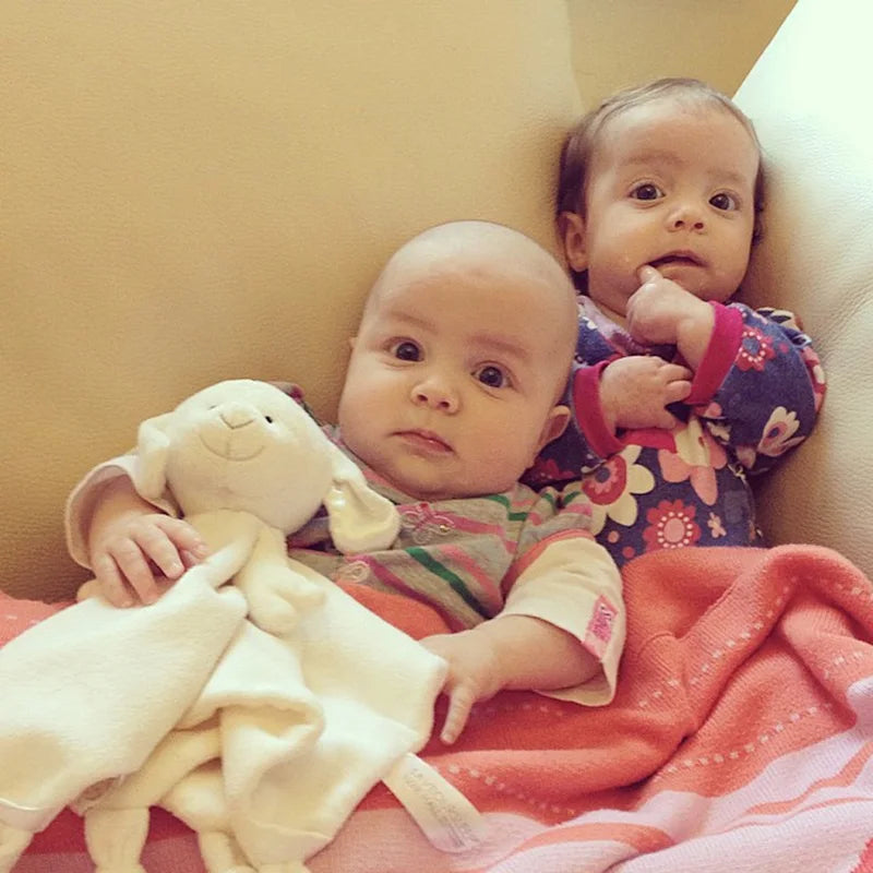 Bébé avec doudou mouton